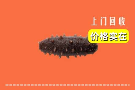 姑苏区回收海参