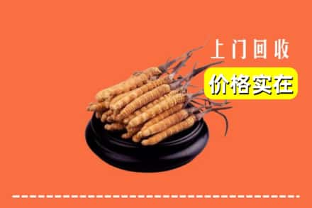 姑苏区回收冬虫夏草