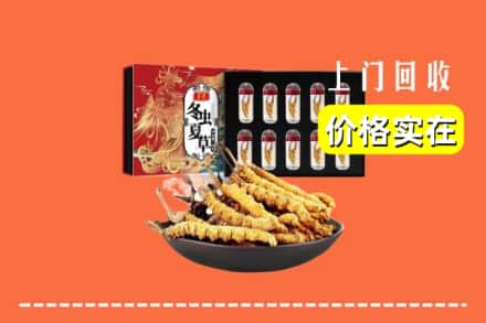 姑苏区回收虫草