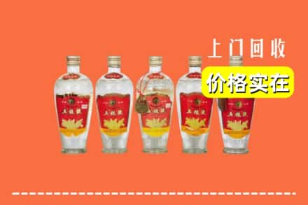 姑苏区回收老五粮液